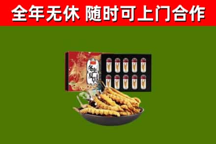 高港区回收冬虫夏草价格