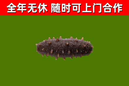 高港区烟酒回收干海参.jpg